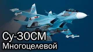Су-30СМ - многоцелевой истребитель. История и описание