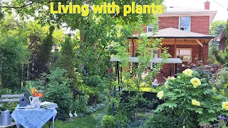 A Small Garden Full of Nature & Love | Perennial Garden Tour