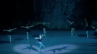 Swanlake.Bolshoi Theatre. Лебединое озеро.Большой Театр