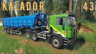 FS 19 - Погрузка и продажа песка.  Пилю лес - KALADOR фермер лесоруб # 43