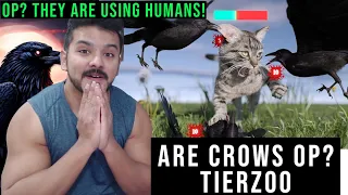 Are Crows OP? (TierZoo) CG Reaction