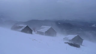 💨 Winter Storm Ambience with Icy Howling Wind Sounds for Sleeping, Relaxing and Studying Background.