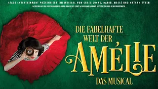 La Valse d'Amelie no acordeon - Yann Tiersen