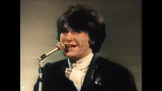 The Kinks - You Really Got Me (Color)