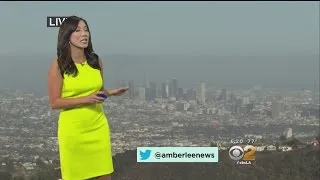 Amber Lee Weather Forecast (July 26)