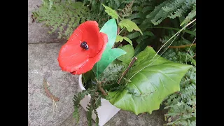 Poppy Making from a drinks can