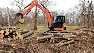 Land Clearing, Stump Removal, Brush Disposal at Neighbor Cliff's