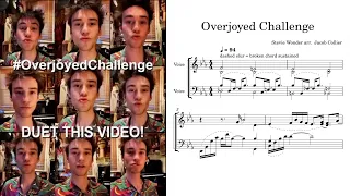 Jacob Collier - Overjoyed (Stevie Wonder)