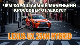 Lexus UX 250h Hybrid. Чем плох самый маленький кроссовер от Лексус, и кому он точно не нужен?