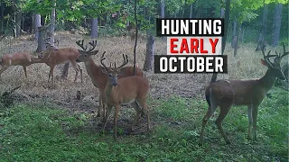 Early Season Hunting - Strategies For Early October