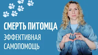 Как помочь себе пережить смерть питомца с помощью таппинга