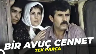 Bir Avuç Cennet |Tarık Akan Hale Soygazi