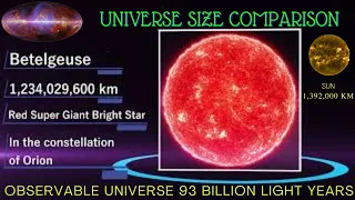 Universe Size Comparison - 2021