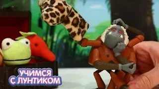 Театр с Лунтиком 🎭 Учимся с Лунтиком 🎭 Сборник серий для детей