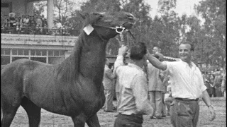 Faliro horse racing track, Athens, Greece 1953 (silent 16mm film)