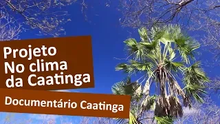 Documentário Caatinga