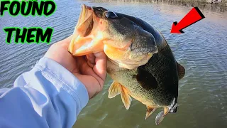 California Delta Bass Fishing.(CHASING GOBLIN'S)