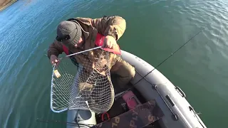 Рыбалка на Черном Иртыше