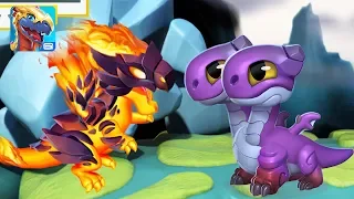 Дракон Огненная Птица и клановый Амура Легенды Дракономании l Dragon Mania Legends 129