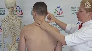 Как быстро справиться с болью Л.Ф.Васильева Мастер-класс Manage Pain 2020