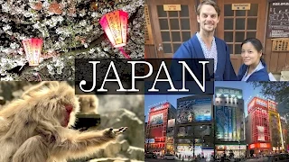 14 Days in Japan Vlog - Tokyo, Hakone, Mount Fuji, Shibu Onsen, Snow Monkey, Disney