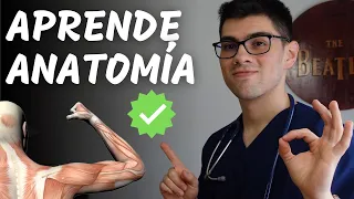 ¿Cómo Estudiar Anatomía Sin Morir en el Intento?