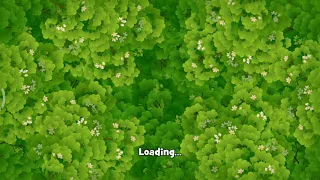 Gardenscapes Area 8 Day 3 Hard Level 1624