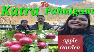 Katra to Pahalgam l Wonderful Journey By Road l Visit Apple Garden l Syama Prasad Mukherjee Tunnel l