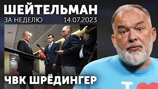 Квантовый Путин. ЧВК Шрёдингер. Кукрыниксы у власти в РФ. Шейтельман за неделю.