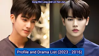 Song Wei Long and Lin Yan Jun | Profile and Drama List (2023 - 2016) |