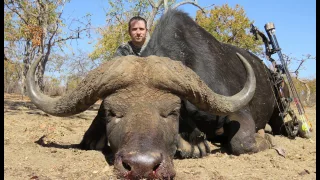 A Complete Pass-Through on a Cape Buffalo - Down in 25.15 Seconds - GrizzlyStik Arrow & Broadhead