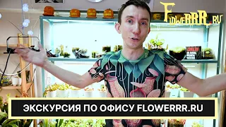 Экскурсия в мир Плотоядных растений