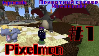 PIXELMON MINECRAFT #1 LP на [ПРИВАТНОМ СЕРВЕРЕ] НАЧАЛИ!!!