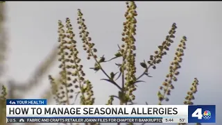 How to better manage spring allergies