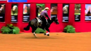 Cruisin Mercedes ridden by Mathieu Buton - 2014 Tulsa Reining Classic (Open Futurity)