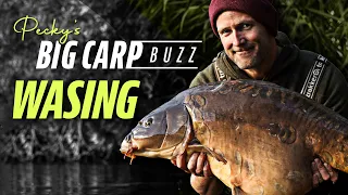 Pecky's Big Carp Buzz - Wasing Estate, Oxlease (Chasing Monster Carp) | Korda 2021