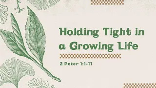 May 15th, 2024 | Wesley Vance | Holding Tight In A Growing Life