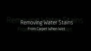 ChemDry Devon:How To Remove Dry/Wet Water Stains From Carpet