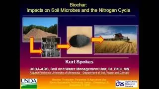 Impacts of Biochar Additions on Soil Microbial Processes and Nitrogen Cycling