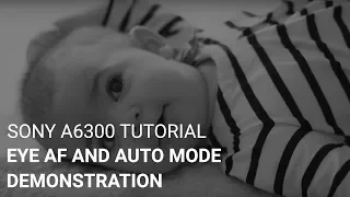 Sony a6300 Tutorial: Eye AF and Auto Mode Demonstration