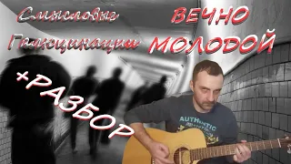 Вечно молодой - Смысловые Галлюцинации/ Кавер/РАЗБОР