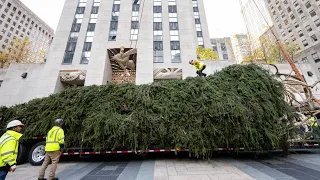 Rockefeller Center Christmas tree selected for 2023