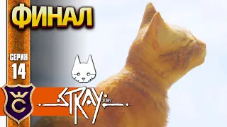 КОНЕЦ ИГРЫ ФИНАЛ! Stray #14