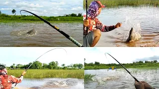 MENAKJUBKAN !!! 6 STREK NILA NILA MONSTER PAPUA 2023 Saat MANCING NILA BABON II Mancing Liar #MLP-69