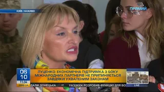 Ірина Луценко: ухвалені закони дозволять ввести миротворчу місію на Донбас