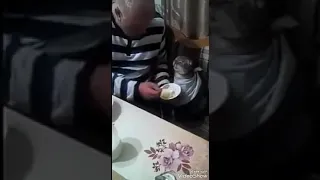 Как нужно кормить кота