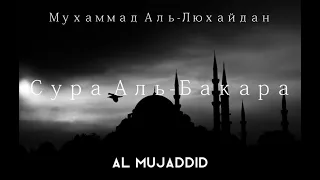 Мухаммад Аль-Люхайдан | Сура 2 Аль-Бакара (Корова) | AL MUJADDID