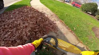 Can a Vacuum suck up wet leaves? | fall leaf clean up