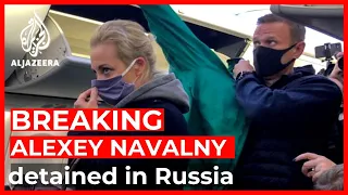 Police detain Kremlin critic Navalny on return to Russia