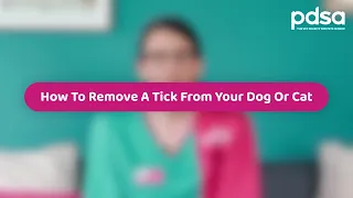 How To Remove a Tick | Pet Health Advice